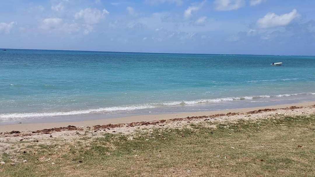Ohana Guest House Port Mathurin Exteriör bild